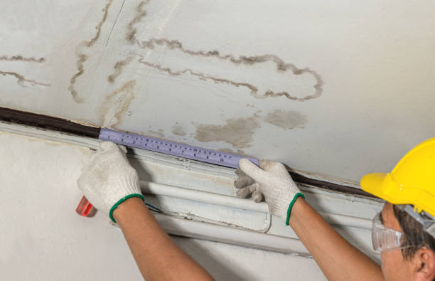Reliable Water Damage contractor in Johnson City, KS by Water Damage Irwin